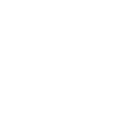 Bot